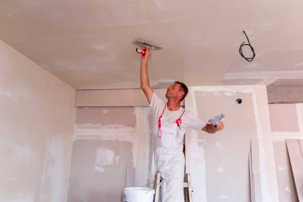 Best Commercial Painting  in Sunman, IN